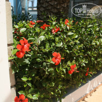 фото из отзыва ID 1000348