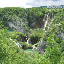 фото из отзыва ID 1000382