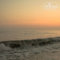 фото из отзыва ID 1000596