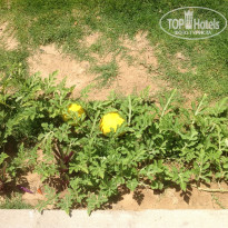 фото из отзыва ID 1000674