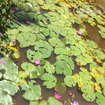 фото из отзыва ID 1000674