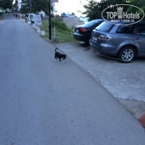 фото из отзыва ID 1000833