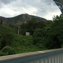 фото из отзыва ID 1000833