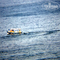 фото из отзыва ID 1000833