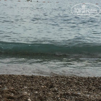 фото из отзыва ID 1000833