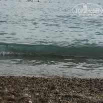 фото из отзыва ID 1000833