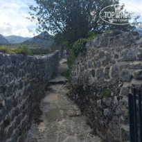 фото из отзыва ID 1000833