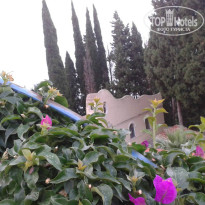 фото из отзыва ID 1001082