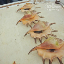 фото из отзыва ID 1001113