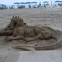 фото из отзыва ID 1001484