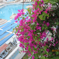 фото из отзыва ID 1001586