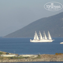 фото из отзыва ID 1001586