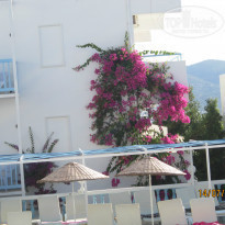 фото из отзыва ID 1001586