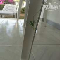 фото из отзыва ID 1001829