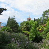 фото из отзыва ID 1001903