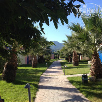 фото из отзыва ID 1001984