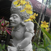 фото из отзыва ID 1002014