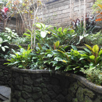 фото из отзыва ID 1002014