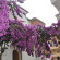 фото из отзыва ID 1002031
