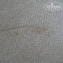 фото из отзыва ID 1002078