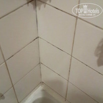 фото из отзыва ID 1002305