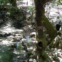 фото из отзыва ID 1002334