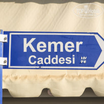 фото из отзыва ID 1002460