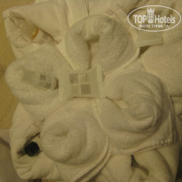 фото из отзыва ID 1002608