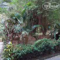 фото из отзыва ID 1002682