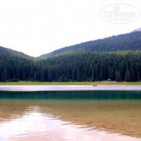 фото из отзыва ID 1002785