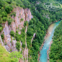 фото из отзыва ID 1002785