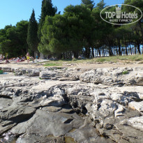 фото из отзыва ID 1002208