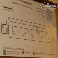 фото из отзыва ID 1003019