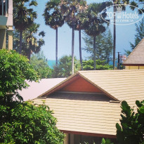 фото из отзыва ID 1003044