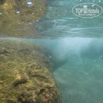 фото из отзыва ID 1003145