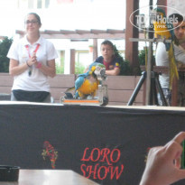 фото из отзыва ID 1003428