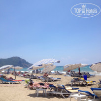 фото из отзыва ID 1003575