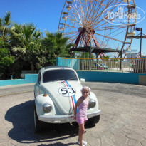 фото из отзыва ID 1003650