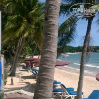 фото из отзыва ID 1003656