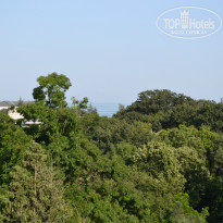 фото из отзыва ID 1003792