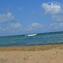 фото из отзыва ID 1003792