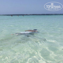 фото из отзыва ID 1003889