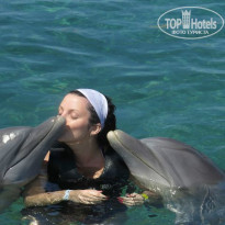 фото из отзыва ID 1003889