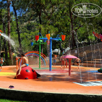 фото из отзыва ID 1003921