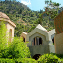 фото из отзыва ID 1003921