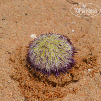 фото из отзыва ID 1004240