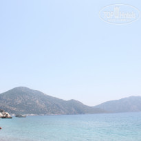 фото из отзыва ID 1001149