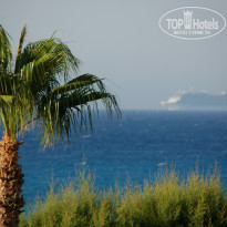 фото из отзыва ID 1004395