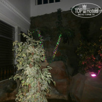 фото из отзыва ID 1004482