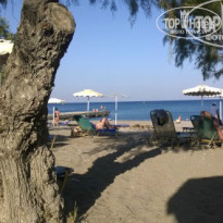 фото из отзыва ID 1003263